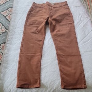 Soft Surroundings Terracotta Trousers